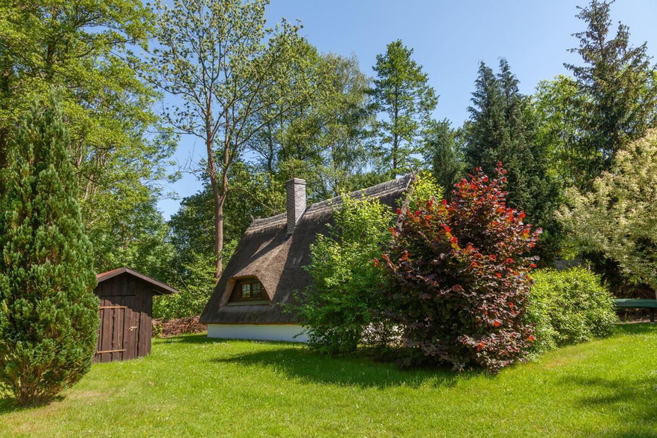 Ferienhaus Auf Der Kauperinsel Burg  Exterior photo